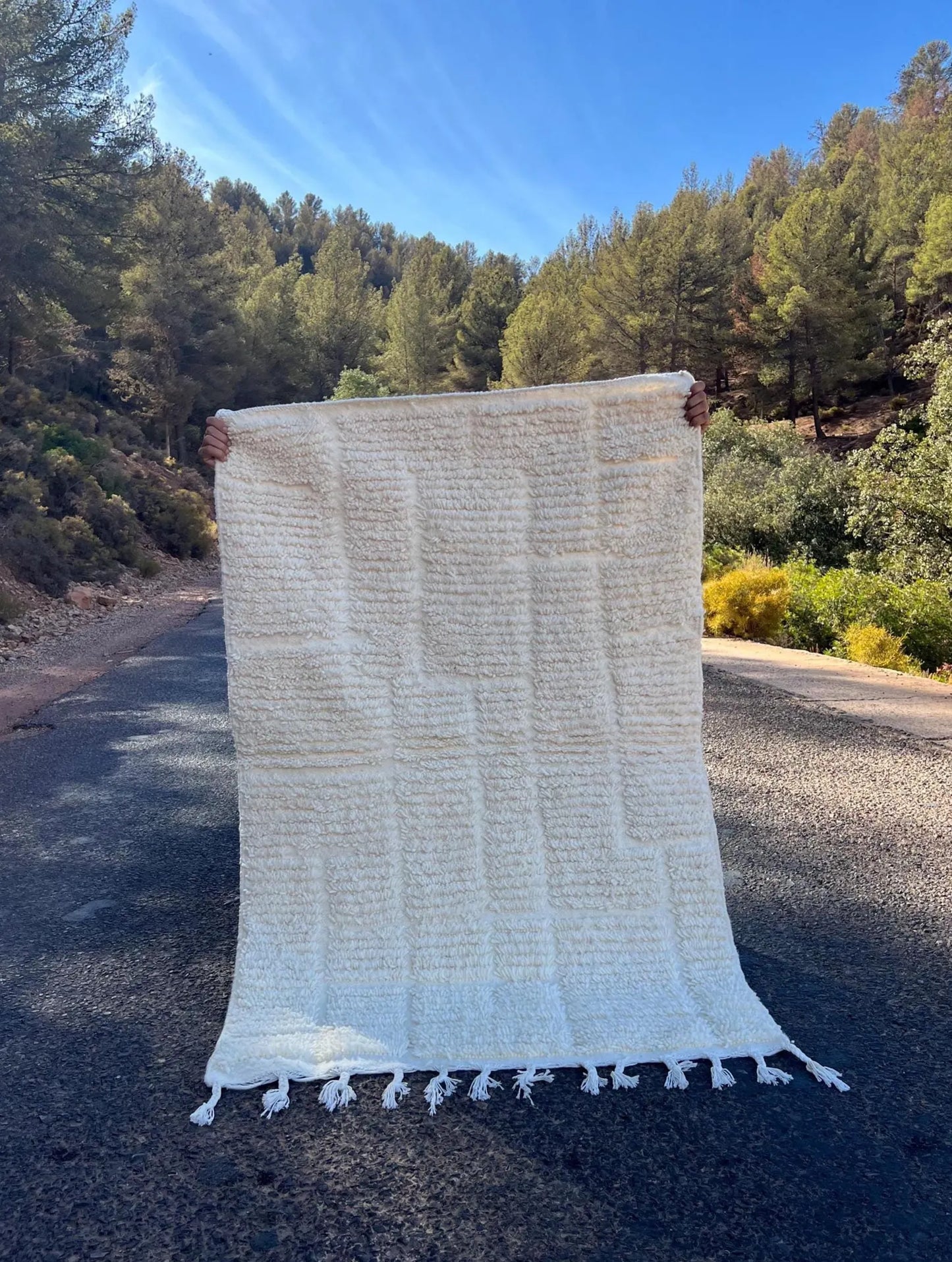 Tapis Blanc – Géométrique – Style Minimaliste (1m × 1,5m)